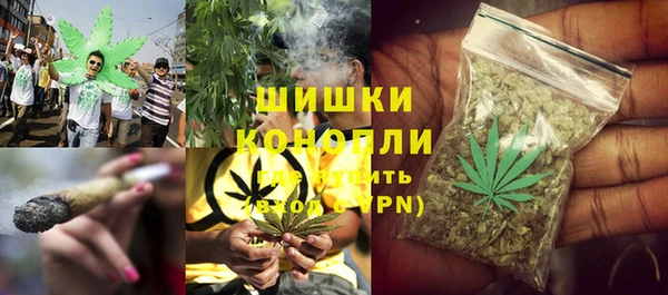 PSILOCYBIN Майский