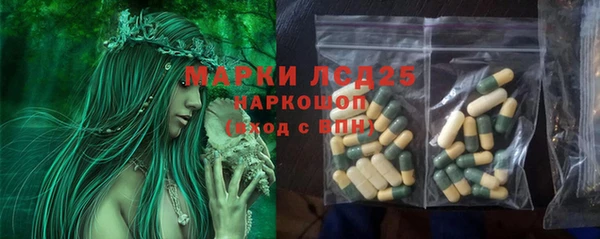 PSILOCYBIN Майский