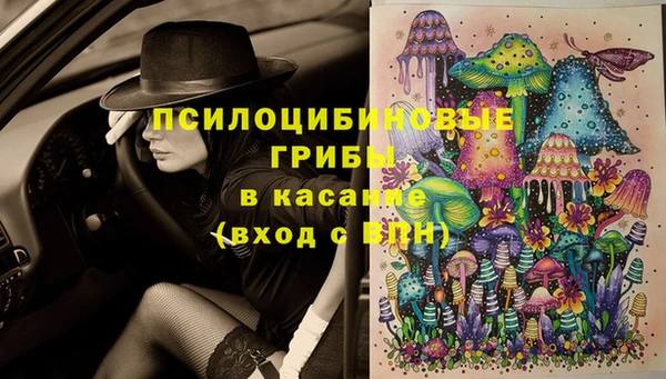 трава Магадан