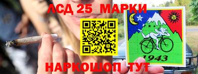 индика Малгобек