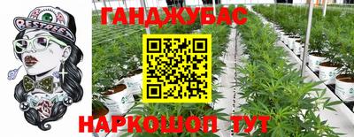 индика Малгобек