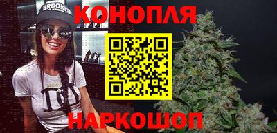 индика Малгобек