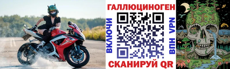 Псилоцибиновые грибы Psilocybine cubensis Печора