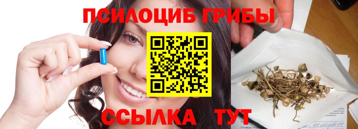где найти наркотики  Галлюциногенные грибы Psilocybine cubensis  Вход с VPN  Печора 