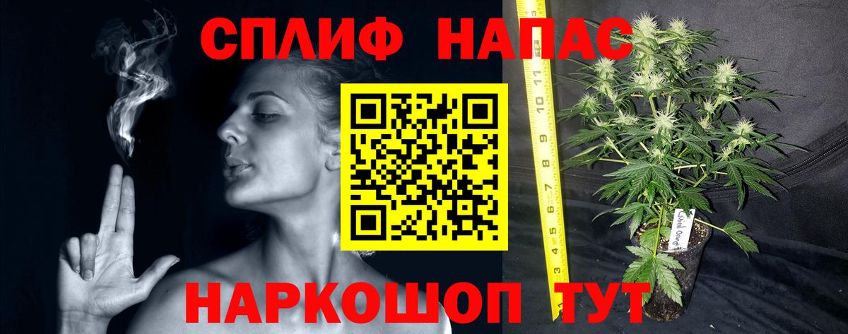 Печора  Марихуана план  Бошки марихуана тримм  Каннабис семена  Вход с VPN 